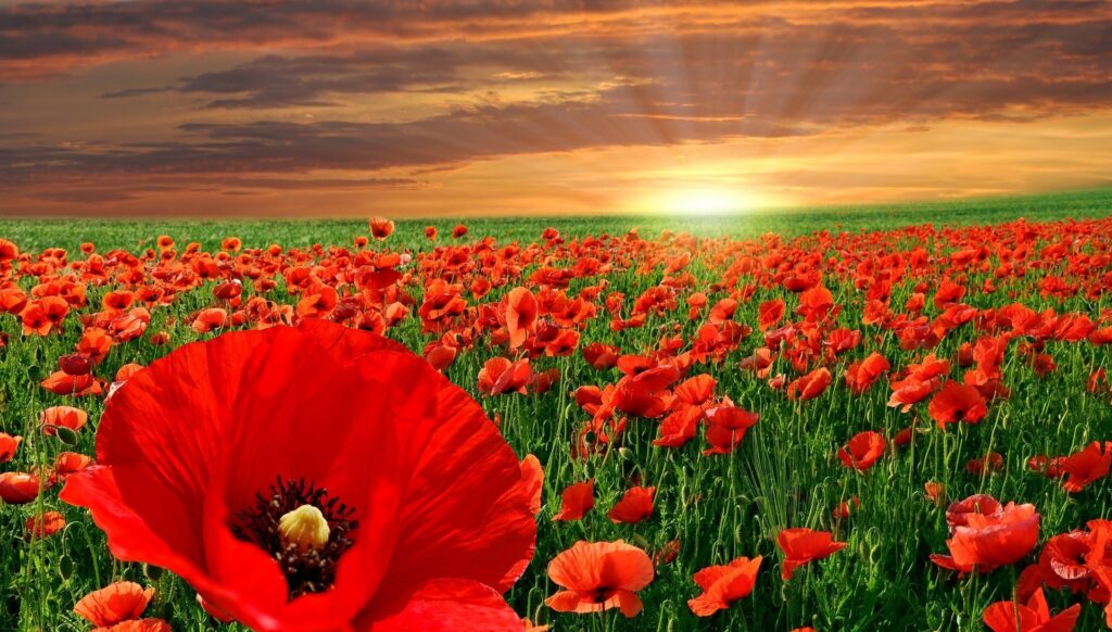 яке сьогодні свято 22 березня весняний пейзаж природа