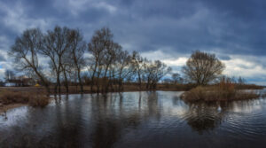 яке сьогодні свято 23 березня весняний пейзаж природа