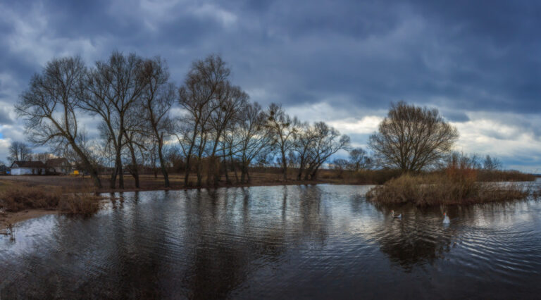 яке сьогодні свято 23 березня весняний пейзаж природа