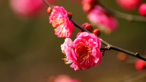 яке сьогодні свято 30 березня весняний пейзаж природа