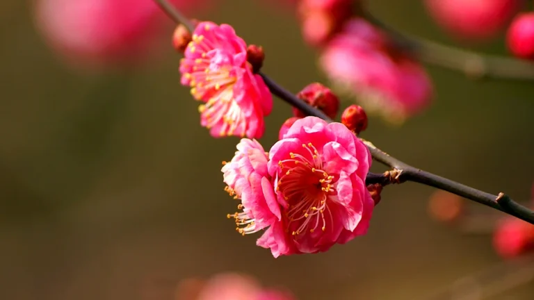 яке сьогодні свято 30 березня весняний пейзаж природа