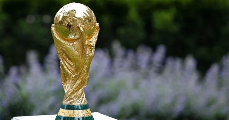 Кубок світу з футболу
