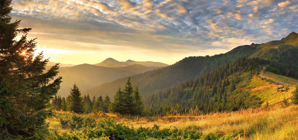 Гори Закарпаття панорама