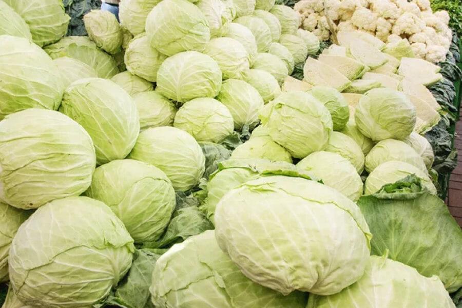 ціни на капусту в україні впали