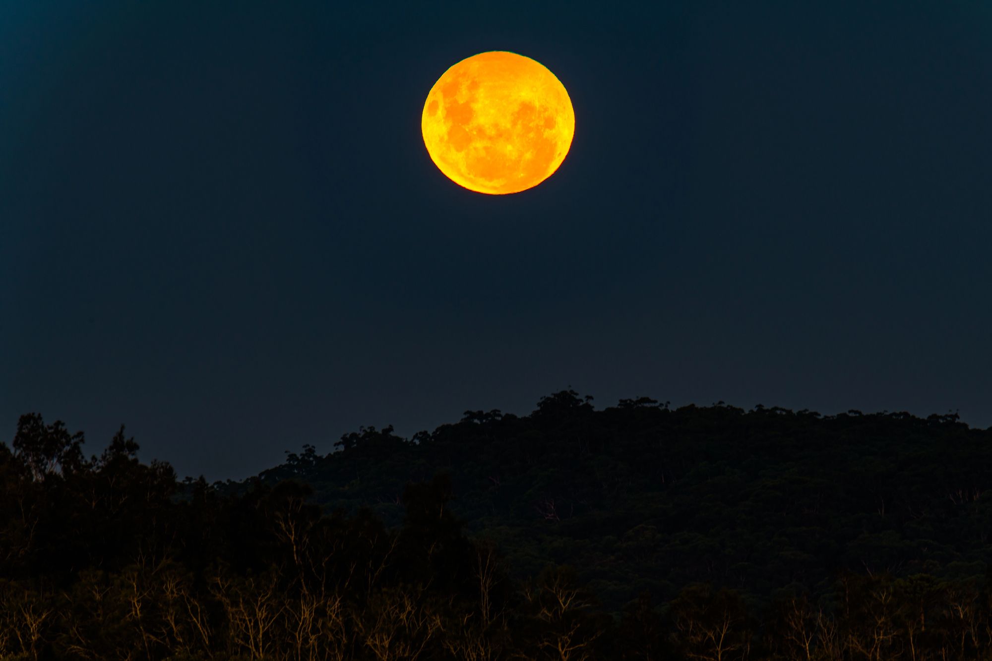 Яскравий повний місяць на нічному небі