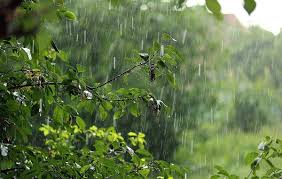 Весняні опади