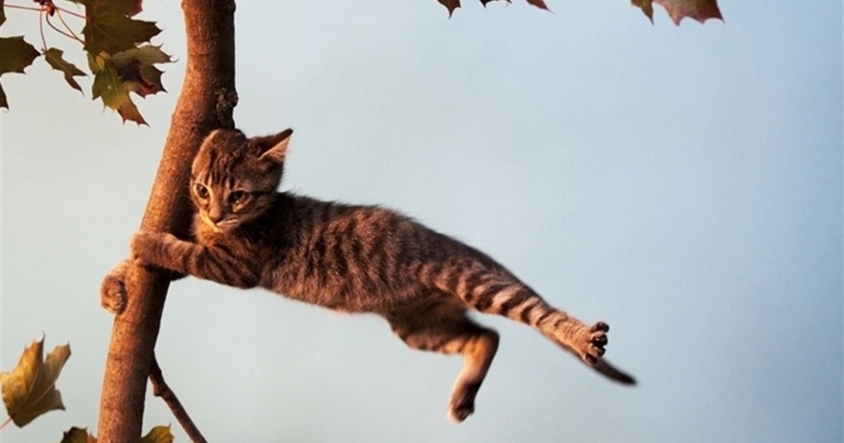 штормове попередження Україна